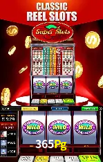 365Pg São Paulo - All Bonuses